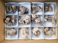 Natural Fairy Spirit Quartz Clusters x 12 From Boekenhouthoek, South Africa - Toprock Gemstones and Minerals