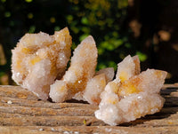 Natural Golden Limonite Coated Spirit Quartz Crystals x 35 From Boekenhouthoek, South Africa - Toprock Gemstones and Minerals