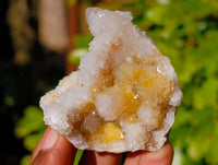 Natural Golden Limonite Coated Spirit Quartz Crystals x 35 From Boekenhouthoek, South Africa - Toprock Gemstones and Minerals