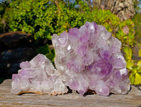 Natural Jacaranda Amethyst Quartz Clusters x 2 From Mumbwa, Zambia - Toprock Gemstones and Minerals