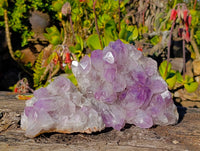Natural Jacaranda Amethyst Quartz Clusters x 2 From Mumbwa, Zambia - Toprock Gemstones and Minerals