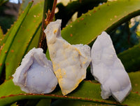 Natural Etched Blue Lace Agate Specimens x 24 From Namibia - Toprock Gemstones and Minerals