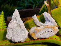 Natural Etched Blue Lace Agate Specimens x 24 From Namibia - Toprock Gemstones and Minerals