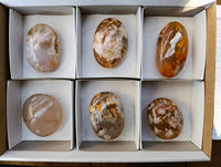 Polished Fossil Flower Agate Palm Stones x 6 From Antsahalova, Madagascar - Toprock Gemstones and Minerals