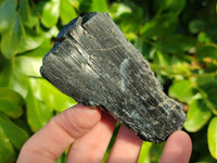 Natural Schorl Black Tourmaline Specimens x 6 From Erongo, Namibia - Toprock Gemstones and Minerals