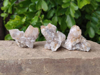 Natural Fairy Spirit Quartz Specimens x 35 From Boekenhouthoek, South Africa - Toprock Gemstones and Minerals