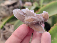 Natural Fairy Spirit Quartz Specimens x 35 From Boekenhouthoek, South Africa - Toprock Gemstones and Minerals