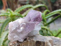 Natural Jacaranda Amethyst Quartz Crystals x 14 From Mumbwa, Zambia - Toprock Gemstones and Minerals