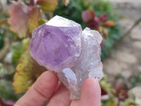 Natural Jacaranda Amethyst Quartz Crystals x 14 From Mumbwa, Zambia - Toprock Gemstones and Minerals