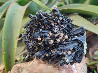 Natural Schorl Black Tourmaline Specimen With Hyalite Opal x 1 From Namibia - Toprock Gemstones and Minerals