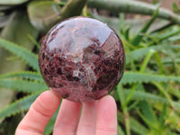 Polished Pyrope Garnet Spheres x 3 From Madagascar - Toprock Gemstones and Minerals