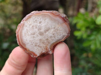 Polished On One Side Red Sashe River Agate Nodules x 12 From Zimbabwe - Toprock Gemstones and Minerals