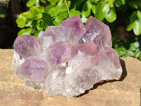 Natural Jacaranda Amethyst Quartz Clusters x 2 From Mumbwa, Zambia - Toprock Gemstones and Minerals