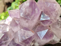 Natural Jacaranda Amethyst Quartz Clusters x 2 From Mumbwa, Zambia - Toprock Gemstones and Minerals