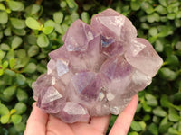 Natural Jacaranda Amethyst Quartz Clusters x 2 From Mumbwa, Zambia - Toprock Gemstones and Minerals