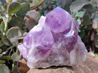 Natural Jacaranda Amethyst Quartz Clusters x 2 From Mumbwa, Zambia - Toprock Gemstones and Minerals
