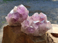 Natural Jacaranda Amethyst Quartz Clusters x 2 From Mumbwa, Zambia - Toprock Gemstones and Minerals