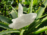 Natural Etched Quartz Crystals and Clusters x 12 From Mpika, Zambia - Toprock Gemstones and Minerals