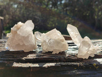 Natural Etched Quartz Crystals and Clusters x 12 From Mpika, Zambia - Toprock Gemstones and Minerals