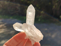 Natural Etched Quartz Crystals and Clusters x 12 From Mpika, Zambia - Toprock Gemstones and Minerals