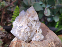 Natural Limonite Coated Fairy Spirit Quartz Clusters x 12 From Boekenhouthoek, South Africa - Toprock Gemstones and Minerals