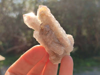 Natural Limonite Coated Fairy Spirit Quartz Clusters x 12 From Boekenhouthoek, South Africa - Toprock Gemstones and Minerals