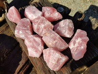 Natural Pink Rose Quartz Cobbed Specimens x 12 From North Cape, South Africa - Toprock Gemstones and Minerals