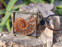 Hand Made Ammonite Pendants Set in Resin - Sold Per Item - From Southern Africa - Toprock Gemstones and Minerals