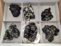 Natural Schorl Black Tourmaline Specimens x 6 From Erongo, Namibia - Toprock Gemstones and Minerals