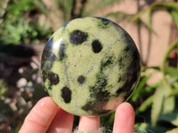 Polished Leopard Stone Palm Stones x 7 From Nyanga, Zimbabwe - Toprock Gemstones and Minerals