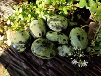 Polished Leopard Stone Palm Stones x 7 From Nyanga, Zimbabwe - Toprock Gemstones and Minerals
