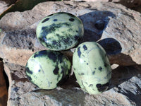 Polished Leopard Stone Palm Stones x 7 From Nyanga, Zimbabwe - Toprock Gemstones and Minerals