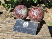 Polished Garnet Spheres x 3 From Mahajanga, Madagascar - Toprock Gemstones and Minerals