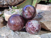 Polished Garnet Spheres x 3 From Mahajanga, Madagascar - Toprock Gemstones and Minerals