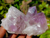 Natural Jacaranda Amethyst Quartz Clusters x 6 From Mumbwa, Zambia - Toprock Gemstones and Minerals