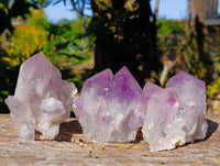 Natural Jacaranda Amethyst Quartz Clusters x 6 From Mumbwa, Zambia - Toprock Gemstones and Minerals
