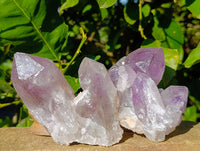 Natural Jacaranda Amethyst Quartz Clusters x 6 From Mumbwa, Zambia - Toprock Gemstones and Minerals