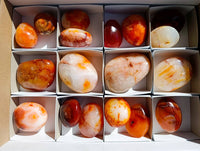 Polished Carnelian Agate Palm Stones x 18 From Madagascar - Toprock Gemstones and Minerals