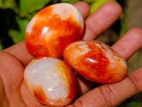 Polished Carnelian Agate Palm Stones x 18 From Madagascar - Toprock Gemstones and Minerals
