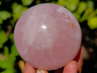 Polished Rose Quartz Spheres x 4 Madagascar - Toprock Gemstones and Minerals