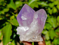 Natural Jacaranda Amethyst Quartz Crystals x 12 From Mumbwa, Zambia - Toprock Gemstones and Minerals
