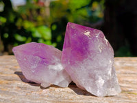 Natural Jacaranda Amethyst Quartz Crystals x 12 From Mumbwa, Zambia - Toprock Gemstones and Minerals
