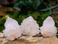 Natural Amethyst Spirit Quartz Crystals x 35 From Boekenhouthoek, South Africa - Toprock Gemstones and Minerals