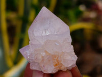 Natural Amethyst Spirit Quartz Crystals x 35 From Boekenhouthoek, South Africa - Toprock Gemstones and Minerals