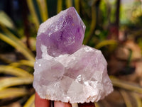 Natural Jacaranda Amethyst Quartz Crystals x 12 From Mumbwa, Zambia - Toprock Gemstones and Minerals
