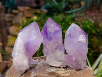 Natural Jacaranda Amethyst Quartz Crystals x 12 From Mumbwa, Zambia - Toprock Gemstones and Minerals