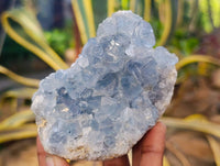 Natural Celestite Specimens x 3 From Sakoany, Madagascar - Toprock Gemstones and Minerals