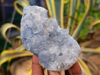 Natural Celestite Specimens x 3 From Sakoany, Madagascar - Toprock Gemstones and Minerals