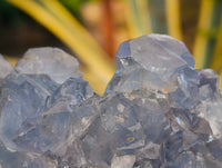 Natural Celestite Specimens x 3 From Sakoany, Madagascar - Toprock Gemstones and Minerals
