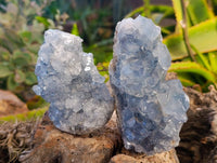 Natural Celestite Specimens x 3 From Sakoany, Madagascar - Toprock Gemstones and Minerals